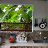 Отель Apartamento Colibríes en Palomino-La Guajira, фото 11
