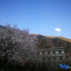 Отель Daocheng Yading Sangjie Linka Luxury Homestay, фото 15