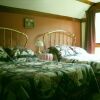 Отель Cranmore Mountain Lodge Bed & Breakfast, фото 6