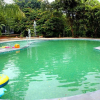 Отель Wild Woods Spa & Resort, фото 20