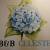 Отель B&B Celeste, фото 14