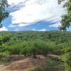 Отель Mamaungpaa Hillside Resort, фото 8