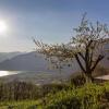 Отель Alveare Sul Lago, фото 1