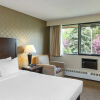 Отель Comfort Inn & Suites, фото 5