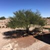 Отель Albergue Rural El Huarango, фото 10