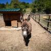 Отель Camping La Ferme de Castellane, фото 19