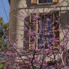 Отель Vila Damunt Suites, фото 20