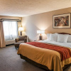 Отель Comfort Inn, фото 4