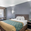 Отель Econo Lodge Socorro, фото 7
