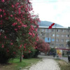 Отель Flat 1 bedroom 1 bathroom - Gagra, фото 19