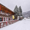 Отель Alpine Lodge, фото 21