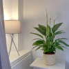 Отель Spring Halls Carlton & Co Apartments Free Parking 2, фото 12