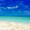 Отель Treasure Cay Beach, Marina & Golf Resort, фото 8