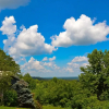 Отель Treetop Retreat, фото 15