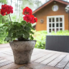 Отель Luxurious Chalet in Oud-Turnhout with Large Garden, фото 4