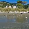 Отель Pohara Beach Top 10 Holiday, фото 17