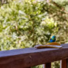 Отель Chalés Sol Paraty, фото 22
