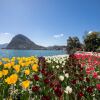 Отель Laguna di Lugano, фото 19
