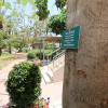 Отель Kibbutz Ashdot Yaacov Ichud Country Lodging, фото 13