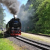Отель Harz-Rose, фото 23