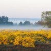 Отель Landhotel Ehlers, фото 13