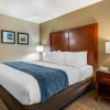 Отель Comfort Inn Ocala Silver Springs, фото 5