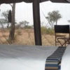 Отель Kilima Valley Serengeti Tented Lodge, фото 3