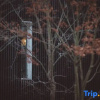 Отель Hangzhou Lin'an Likes Boutique Designer B&B (Western Zhejiang Grand Canyon Branch), фото 15