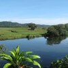 Отель Daintree Riverview Lodges, фото 11