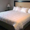 Отель Quality Inn & Suites, фото 4