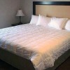 Отель Quality Inn & Suites Lethbridge, фото 3