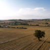 Отель Poggio Martino, фото 17