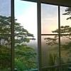Отель Gilbys Eco Bungalow, фото 6