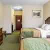 Отель Comfort Inn East Windsor - Springfield, фото 2