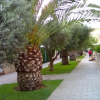 Отель Urbanizacion El Molins, фото 11