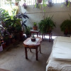 Отель Patio De Joan, фото 11