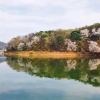 Отель Anseong Pension Ddeulanche, фото 1