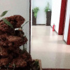 Отель Taibaishan Fengquan Inn, фото 4