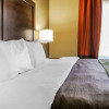 Отель Comfort Inn & Suites Artesia, фото 4