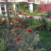 Гостиница Rajskij Ugolok Guest House, фото 2