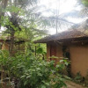 Отель Rural Jungle Backpackers Hostel, фото 22