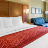 Отель Comfort Inn and Suites San Francisco Airport North, фото 5