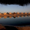 Отель The Thar Oasis Resort & Camps, фото 6