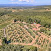 Отель Villa in Castellina w. Pool, Garden & Winery, фото 12
