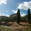 Отель B&B L'Uliveto sul Chianti, фото 12
