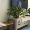 Отель Hanmei apartment (Shanxi University store of Taiyuan South Railway Station), фото 10