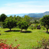 Отель Cabañas y Flores Finca Hotel, фото 23