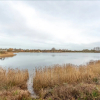 Отель Chehondo - Clearwater: Luxury Lakeside Cottage, фото 20