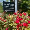 Отель The Wayside Inn Bed & Breakfast, фото 10