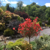 Отель Thistle Haugh, the Peaceful House With a hot tub, фото 13